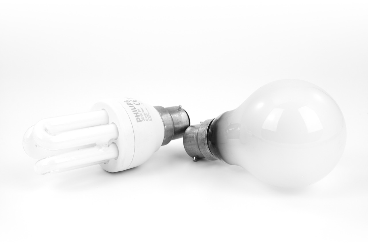 bulb-15629_1280